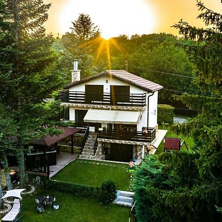 Вила Теkето I Vila Teketo Family Guest House Nikolovo 외부 사진