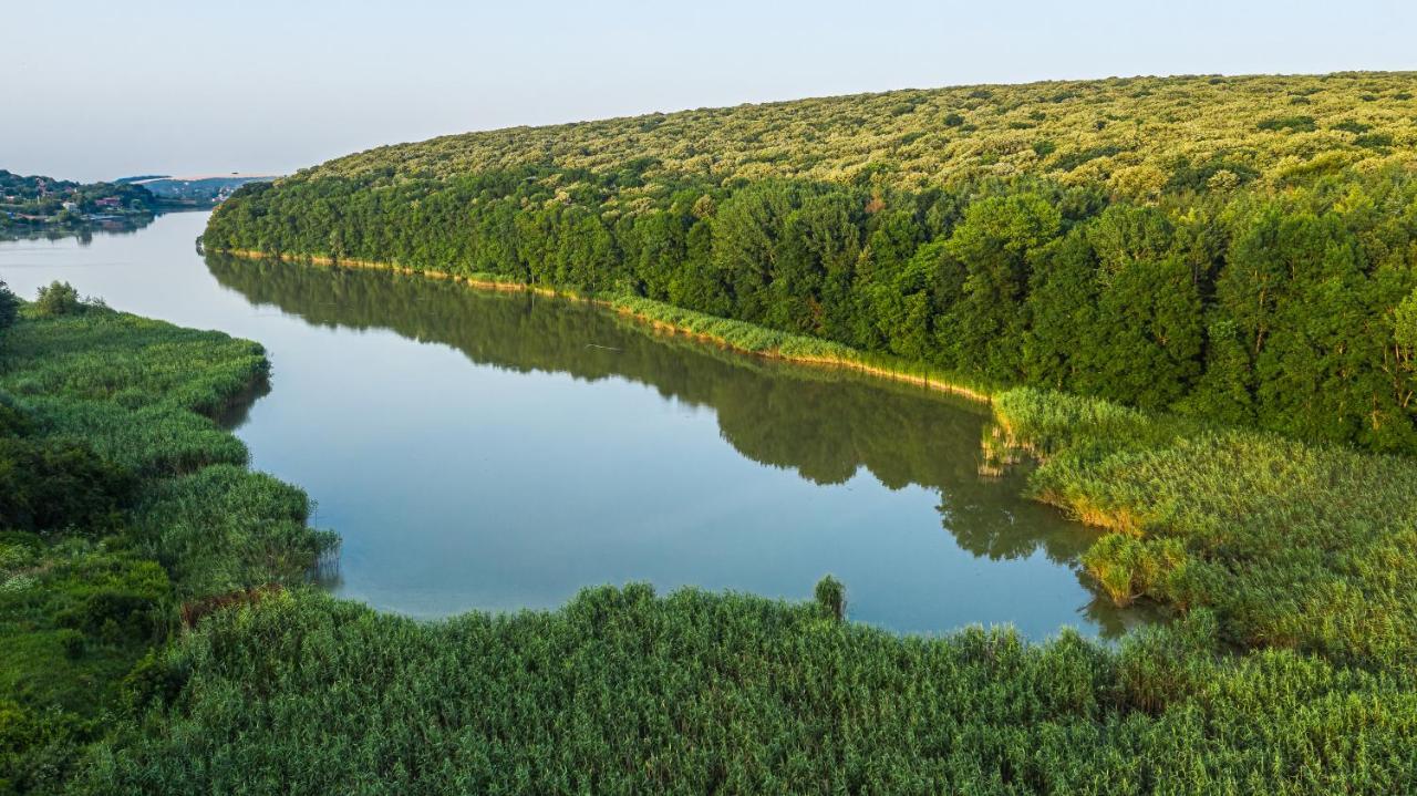 Вила Теkето I Vila Teketo Family Guest House Nikolovo 외부 사진